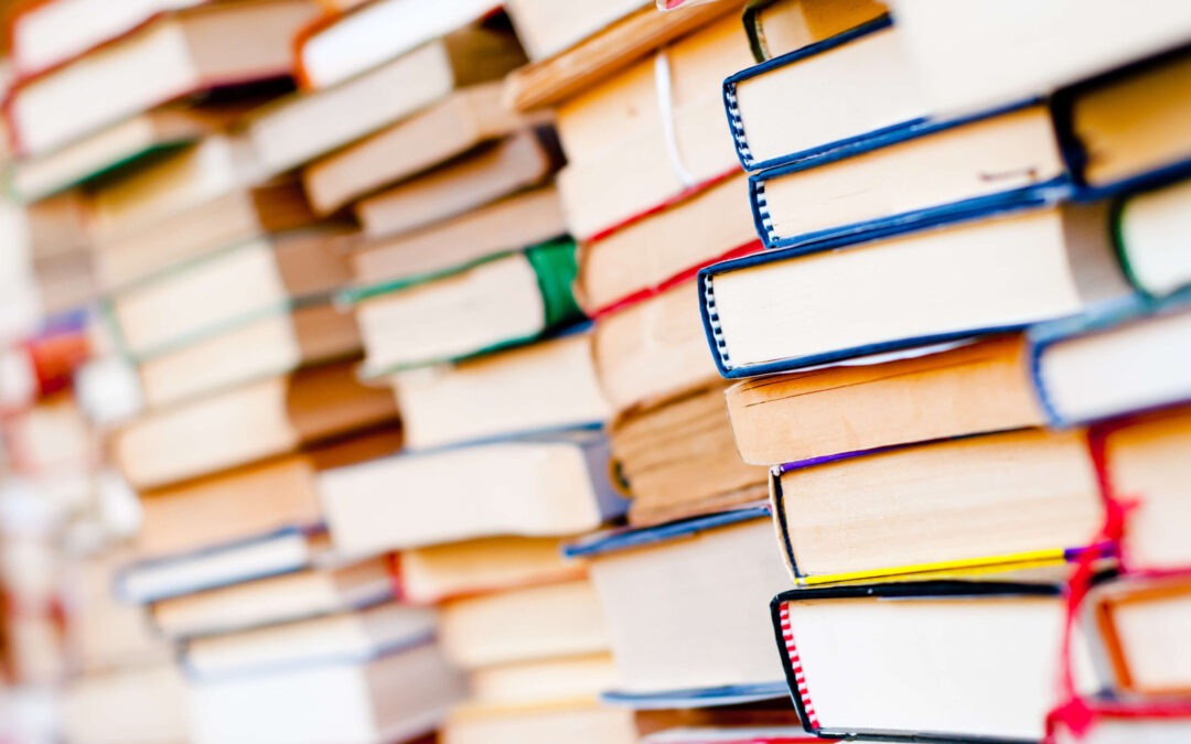 15 mil livros recolhidos para crianças de Angola